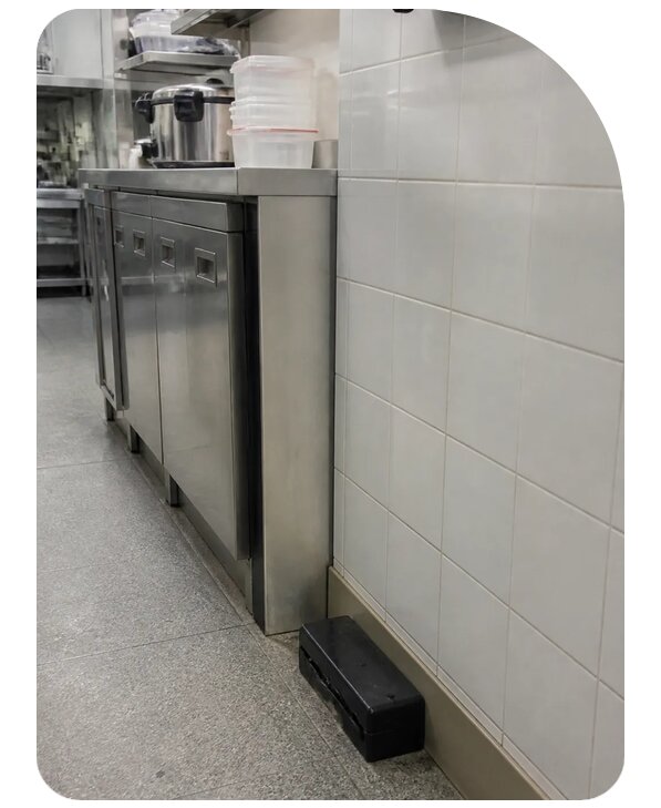 Дератизация ресторана в Партизанске по цене от 5367 р. | Сенат-Прт